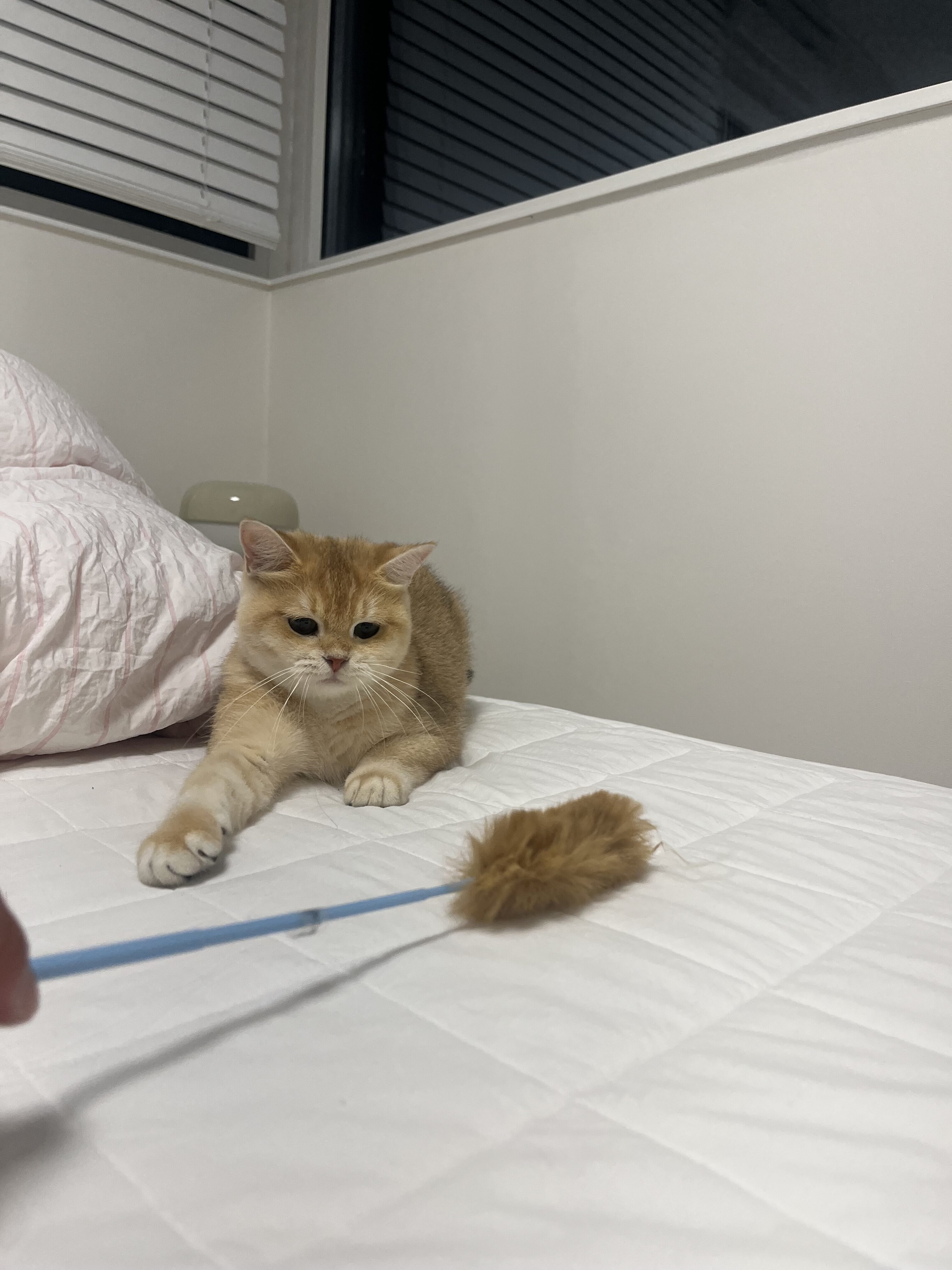 IMG_1124.jpeg