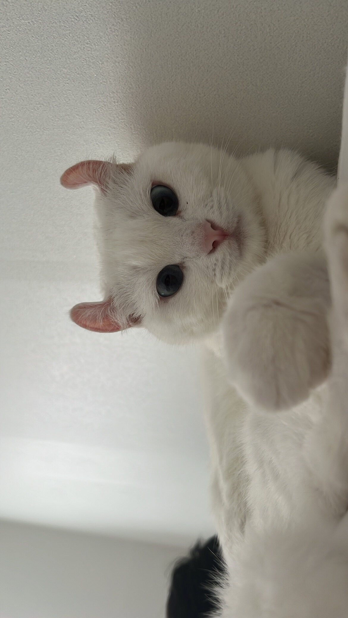 CE2F5C37-0755-42F5-AE82-9111190A19EA.jpeg