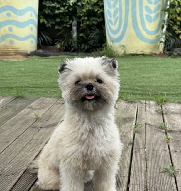 mix