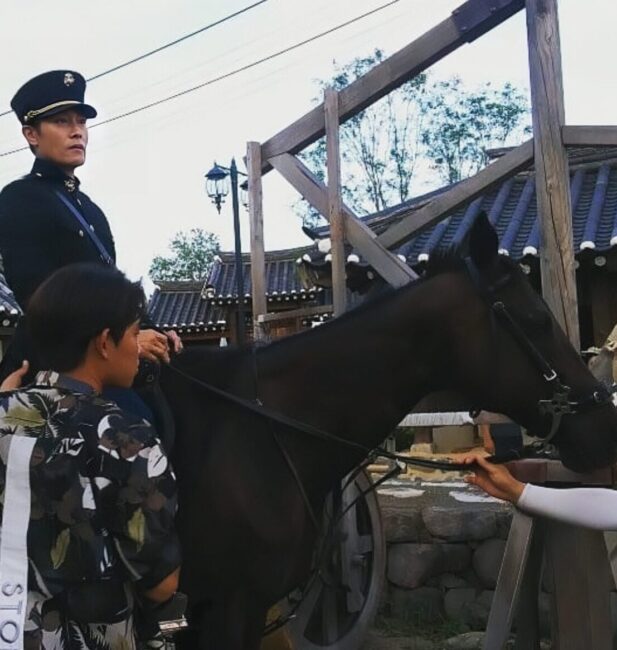 black horse