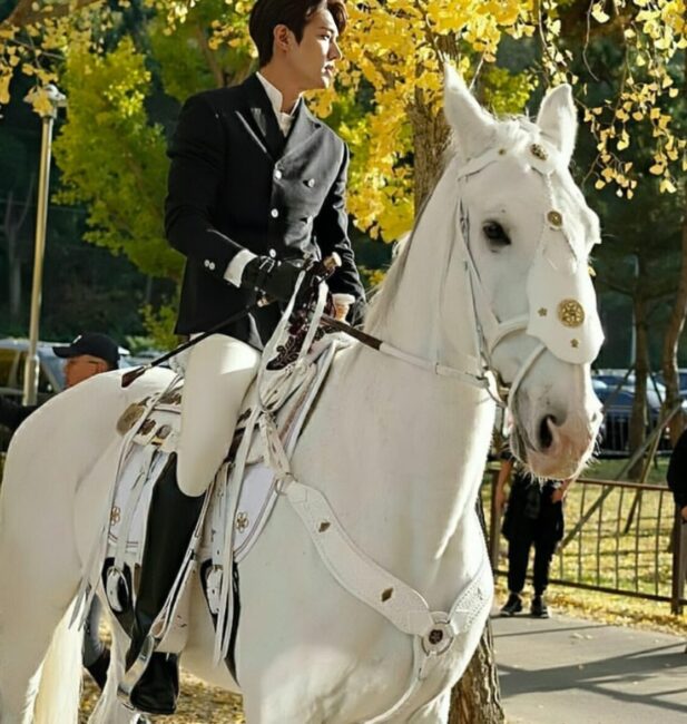 White horse